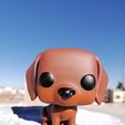 IMG_20210217_164115.jpg DOG FOP
