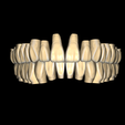 preview.png Free Exocad Tooth Library - High Esthetic Anatomy