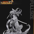 Turntable_02.jpg Muichiro - Demon Slayer
