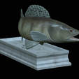 zander-statue-4-mouth-open-7.png fish zander / pikeperch / Sander lucioperca open mouth statue detailed texture for 3d printing