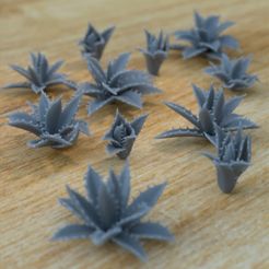 Agave.jpg Archivo 3D 5 AGAVEPLANTS PARA TERRENO DIORAMA SOBREMESA 1/35 1/24・Modelo para descargar y imprimir en 3D