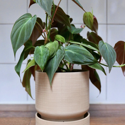 SO_SelfAeratingPlanter.png Archivo STL gratis Plantador auto-operante・Modelo imprimible en 3D para descargar