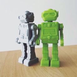Photo 12-12-2018 00 43 26 (1).jpg Free STL file 3DWB Robot Kit・3D printable object to download
