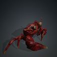 I.jpg Crab, - DOWNLOAD Crab 3d Model - PACK animated for Blender-Fbx-Unity-Maya-Unreal-C4d-3ds Max - 3D Printing Crab Crab