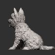 cairn-terrier-3d-model-28461d35ed.jpg 3D-Datei Cairn Terrier 3D-Druck Modell・Design für 3D-Drucker zum herunterladen