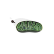 mitocondrias.png anatomy of the mitochondria - Anatomy of the mitochondrion - Anatomía de la mitocondria