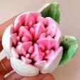 16.jpg 10+ Cupcake & Marshmallow Nozzle Tulip Nozzle Tulip set/pack