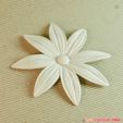 02b.jpg flowers: Aster - 3D printable model