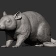 rat9.jpg Rat 3D print model