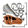 spino_classic-pic4.jpg [3Dino Puzzle] Espinossauro estilo clássico