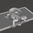 Cap1.jpg Uromastyx - Spiny Tailed Lizard - Realistic Dabb Lizard Pet Reptile