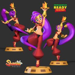 3side.jpg Descargar archivo Shantae • Objeto para impresora 3D, nlsinh