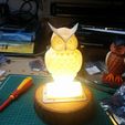 IMG_20180403_155331.jpg Owl LED Lamp