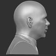 8.jpg Pitbull bust 3D printing ready stl obj formats