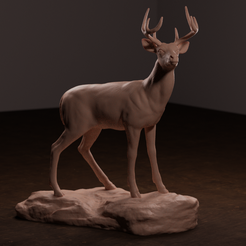 deer-front.png Archivo 3D Ciervo de cola blanca・Diseño imprimible en 3D para descargar