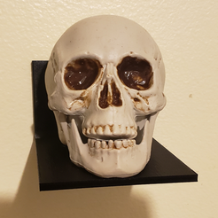 Pic-Skull.png 120mm X 100mm Shelf for Curios and (Halloween) Decorations