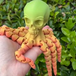 IMG_0198.jpg STL-Datei Gelenkiger Totenkopf-Oktopus・3D-Druck-Idee zum Herunterladen