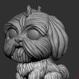 shihtzu-3.jpeg Shih-tzu