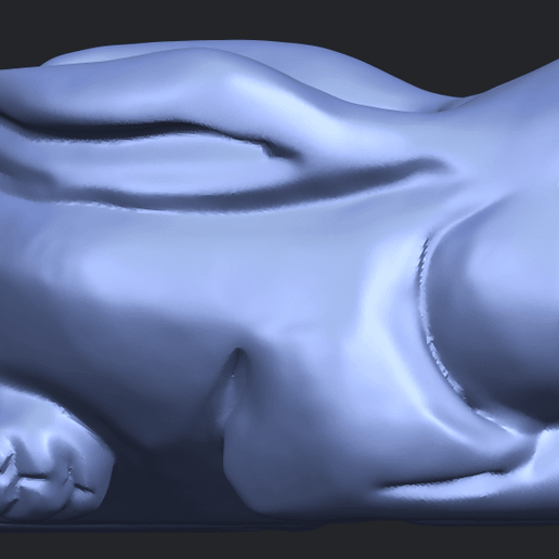 12_TDA0318_RabbitB07.png Rabbit