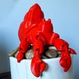 669C8FFD-CE80-4CD3-9D3A-DCCE759045A0.jpeg Articulating Hermit Crab -Support Free