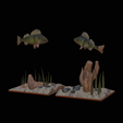my_project-21.png two perch scenery in underwather for 3d print detailed texture