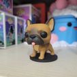 WhatsApp-Image-2025-09-12-at-10.12.04.jpeg 法国斗牛犬 Funko Pop 宠物 DOG