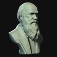 14.jpg Charles Darwin portrait sculpture 3D print model
