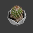 cac4.png Geodesic cactus pot planter
