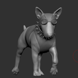 Screenshot-2024-12-21-140136.png Bull Terrier