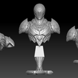 DK3.png The Dark Armor Bust 3D print model
