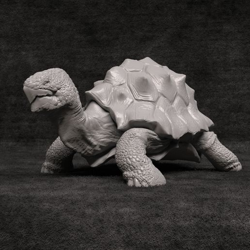 Turtle - No Presupported 3D model