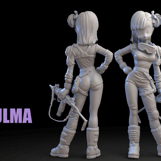 bulma_3dscan_c.jpg Bulma V2 3D