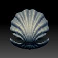 shell-03.jpg Ostra