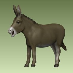 3.jpg STL file Donkey・3D printing design to download