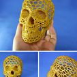 201410skull07_preview_featured.jpg Skull lamps - Voronoi Style