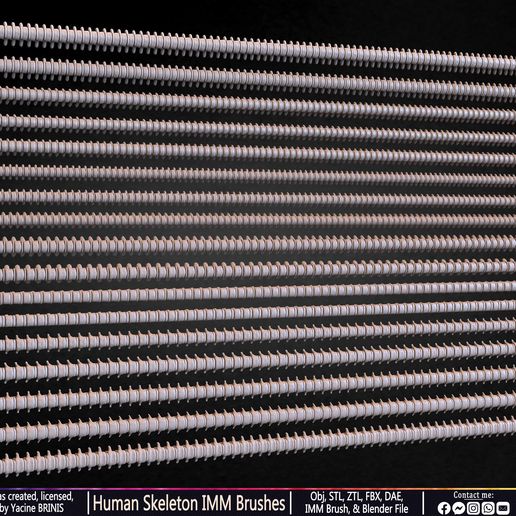 Human-Skeleton-IMM-Brushes-Sculpted-By-Yacine-BRINIS-Set-017.jpg Human Skeleton IMM Brushes