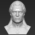 1.jpg Geralt of Rivia The Witcher Cavill bust full color 3D printing