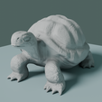 0002.png Tortue
