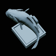 Bass-trophy-44.png Largemouth Bass / Micropterus salmoides fish in motion trophy statue detailed texture for 3d printing
