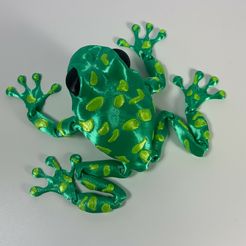 Photo-Aug-02-2023,-9-30-09-AM~2.jpg Articulated Poison Dart Frog  (2 in 1 pack)