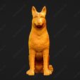 1680-Belgian_Shepherd_Dog_Malinois_Pose_04.jpg Belgian Shepherd Dog Malinois Dog 3D Print Model Pose 04