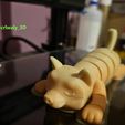 20230808_225535.jpg Articulated Shiba Inu - Plush Dog Flexi Print in Place