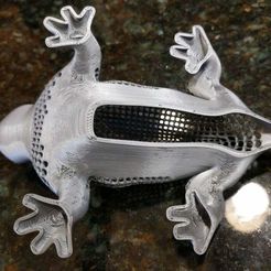 Лощина Драуди