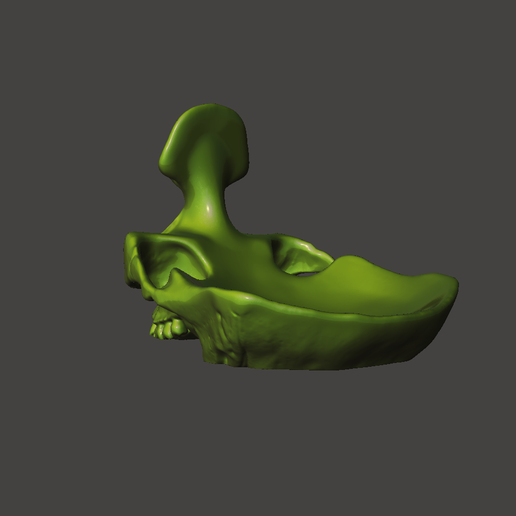 Captura8.1.png STL file Skull Glasses Stand Holder・3D printing model to download, 3Dimension3d