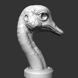 09.png Ostrich Head AM31 3D print model