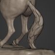 I11.jpg Horse Statue - Original Design