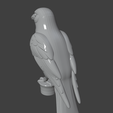 Screenshot-2025-06-22-201234.png Crow Cane Handle