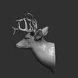 3-ZBrush-Document.jpg Deer head-WALL MOUNTED