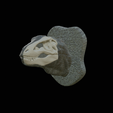 my_project-1-4.png t-rex head trophy on the wall / two faces / dinosaur