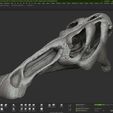 rev_01_0000_Layer-9.jpg Edmontosaurus skull - Dinosaur